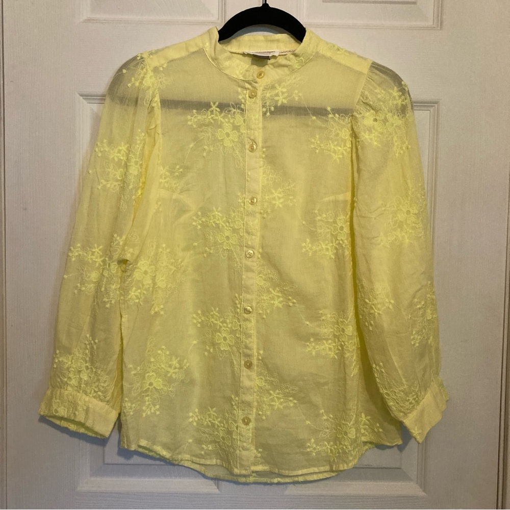 Anthropologie Pilcro and the Letterpress Embroidered Gauze Button Down Shirt